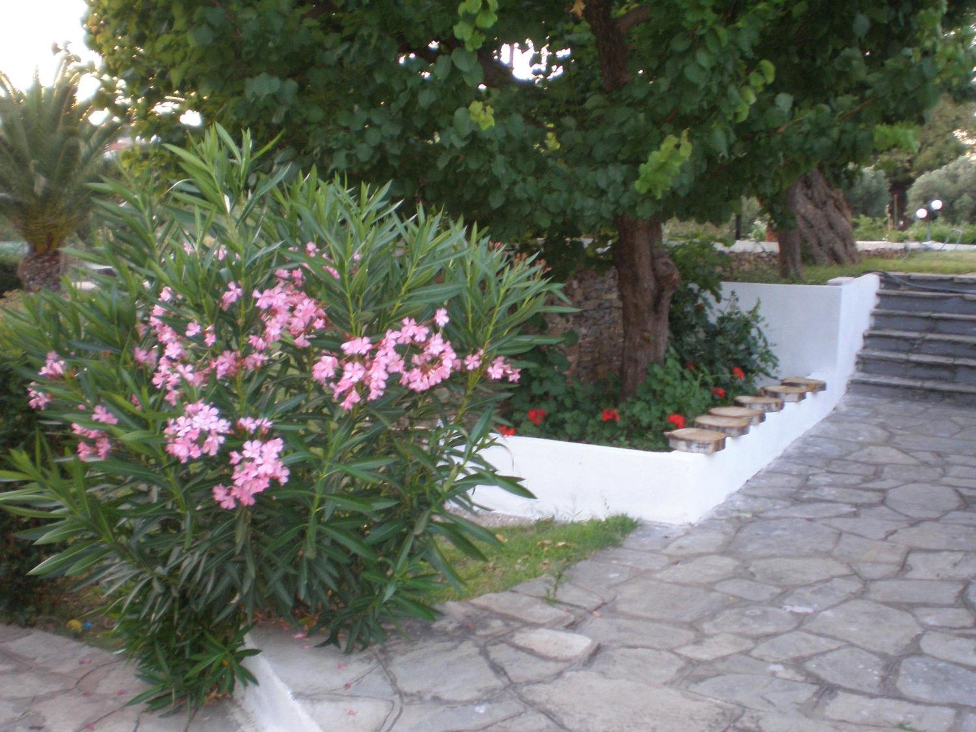 Porto Matina Hotel เมตามอร์โฟซี ภายนอก รูปภาพ